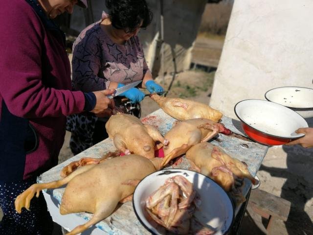 Бригадный метод  социального обслуживания